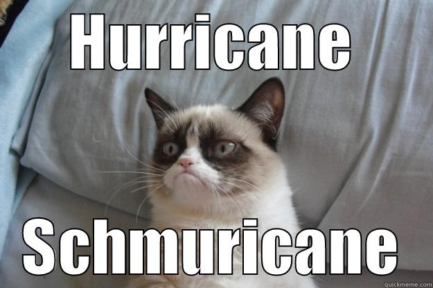 HURRICANE SCHMURICANE Grumpy Cat