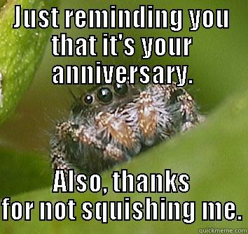 JUST REMINDING YOU THAT IT'S YOUR ANNIVERSARY. ALSO, THANKS FOR NOT SQUISHING ME. Misunderstood Spider