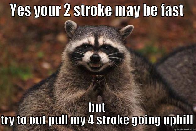 YES YOUR 2 STROKE MAY BE FAST BUT TRY TO OUT PULL MY 4 STROKE GOING UPHILL Evil Plotting Raccoon