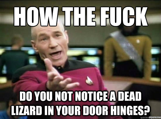 How the fuck do you not notice a dead lizard in your door hinges?  Annoyed Picard HD