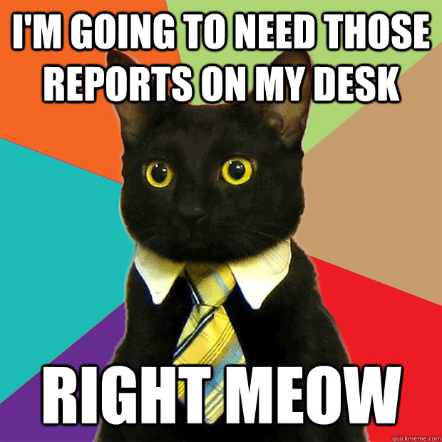 I'm going to need those reports on my desk Right meow  Business Cat