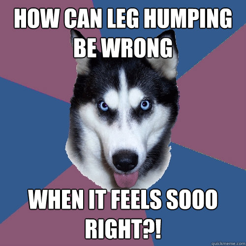 How can leg humping be wrong  when it feels sooo right?!  Creeper Canine