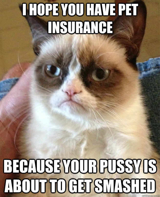 I hope you have pet insurance Because your pussy is about to get smashed  Grumpy Cat