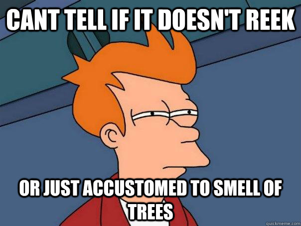 cant tell if it doesn't reek or just accustomed to smell of trees   Futurama Fry