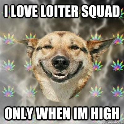 I LOVE LOITER SQUAD only when im high  Stoner Dog