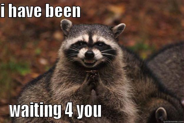 I HAVE BEEN                                    WAITING 4 YOU                         Evil Plotting Raccoon