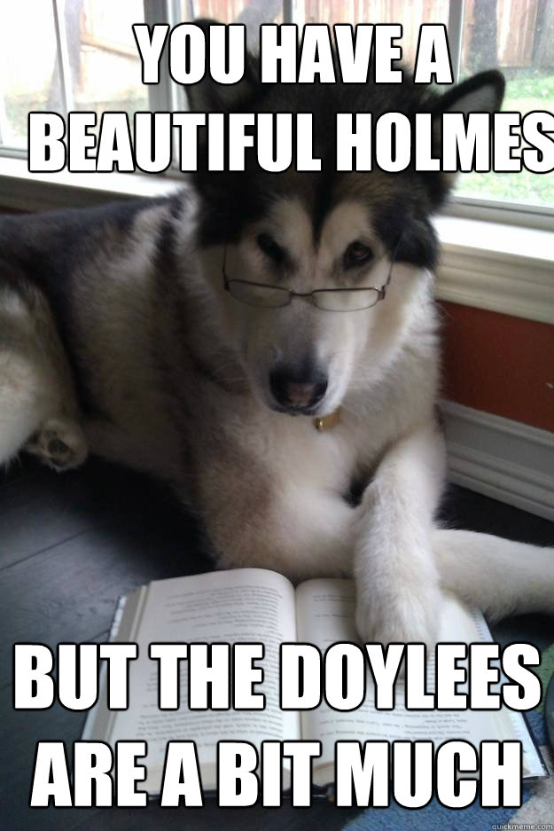 You have a beautiful holmes but the doylees are a bit much  Condescending Literary Pun Dog