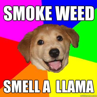 Smoke weed  Smell a  llama  Advice Dog