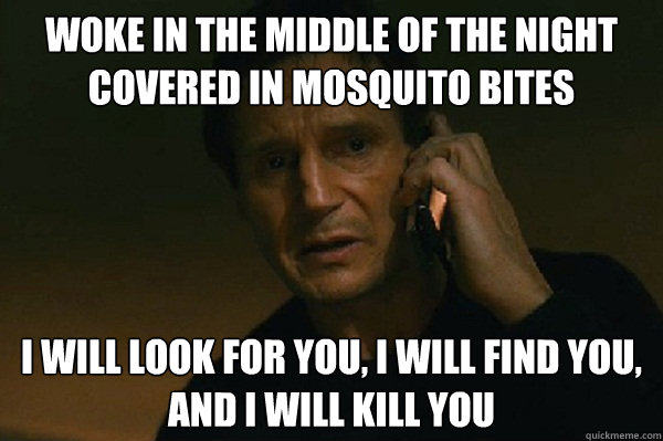 Woke in the middle of the night covered in mosquito bites I will look for you, I will find you, and I will kill you  Liam Neeson Taken