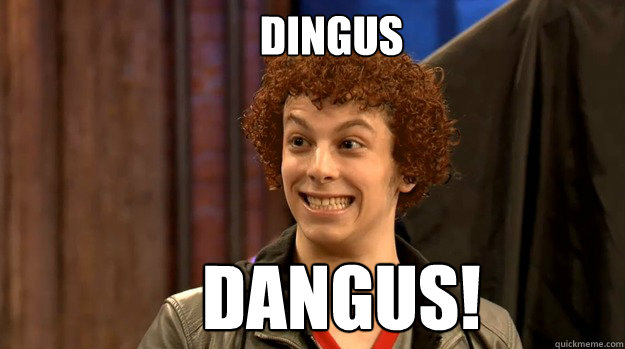 DINGUS DANGUS! - DINGUS DANGUS!  Little Orphan Dave