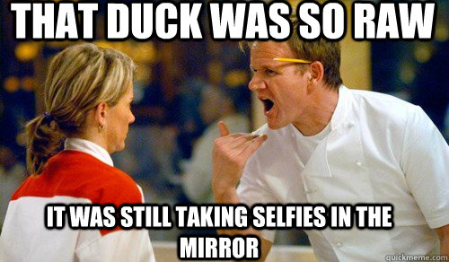 That duck was so raw it was still taking selfies in the mirror  gordon ramsay