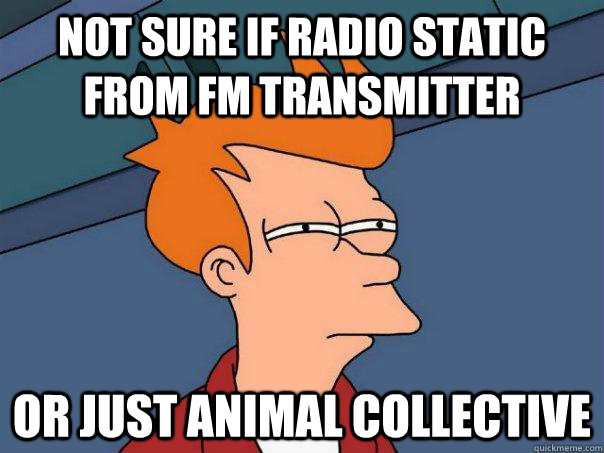 Not sure if radio static from FM transmitter Or just Animal Collective - Not sure if radio static from FM transmitter Or just Animal Collective  Futurama Fry