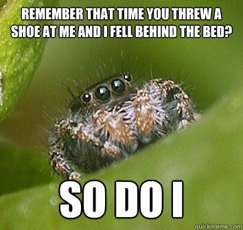 Remember that time you threw a shoe at me and I fell behind the bed? So do I  Misunderstood Spider