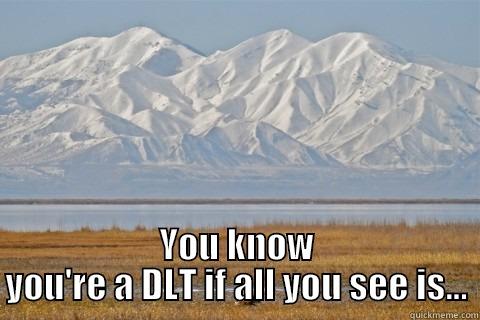  YOU KNOW YOU'RE A DLT IF ALL YOU SEE IS... Misc