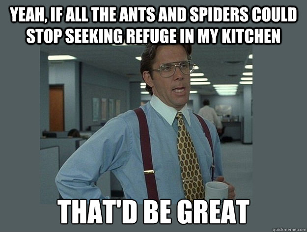 Yeah, if all the ants and spiders could stop seeking refuge in my kitchen That'd be great  Office Space Lumbergh