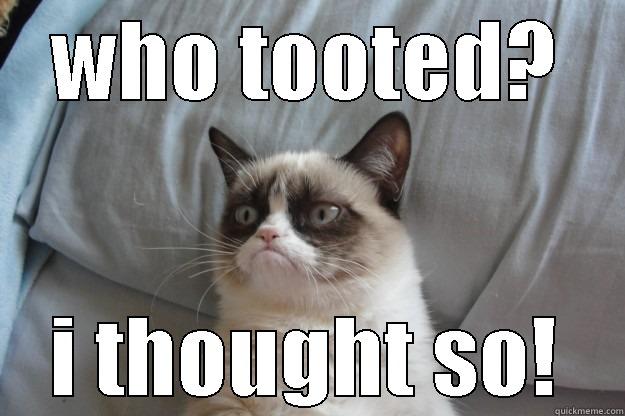 WHO TOOTED? I THOUGHT SO! Grumpy Cat