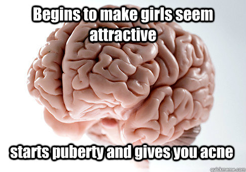 Begins to make girls seem attractive starts puberty and gives you acne  Scumbag Brain