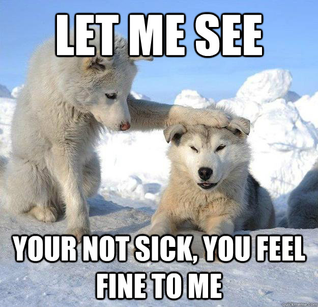 let me see your not sick, you feel fine to me  Caring Husky