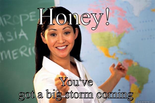 HONEY! YOU'VE GOT A BIG STORM COMING Unhelpful High School Teacher