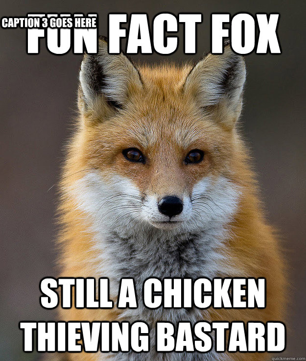 fun fact fox still a chicken thieving bastard Caption 3 goes here  Fun Fact Fox