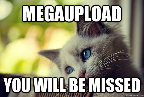 Megaupload you will be missed  First World Problems Cat