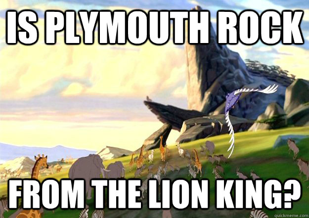 Is Plymouth Rock From the lion king? - Is Plymouth Rock From the lion king?  Plymouth Rock