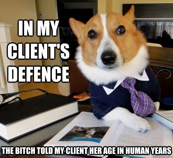 In my client's defence The bitch told my client her age in human years  Lawyer Dog