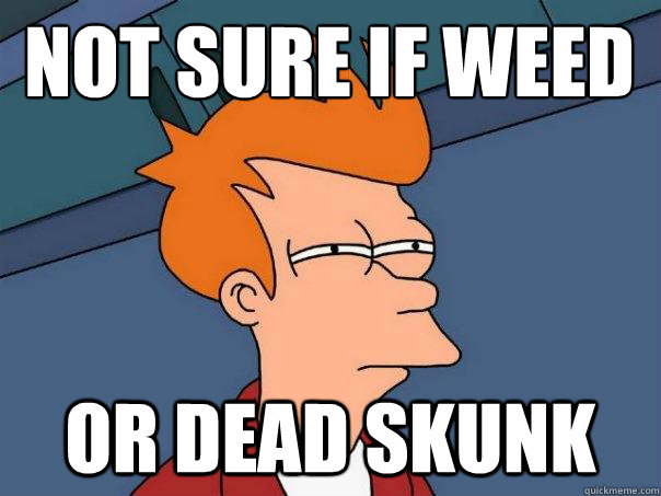 not sure if weed or dead skunk  Futurama Fry