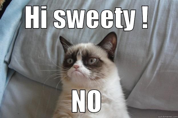 Hi sweety! No - HI SWEETY ! NO Grumpy Cat