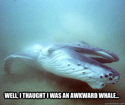 Well, i thaught i was an Awkward Whale... - Well, i thaught i was an Awkward Whale...  awkward whale meme