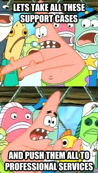 Lets take all these support cases and push them all to professional services  Push it somewhere else Patrick