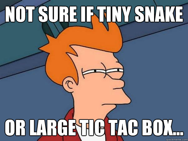 Not sure if tiny snake or large tic tac box... - Not sure if tiny snake or large tic tac box...  Futurama Fry