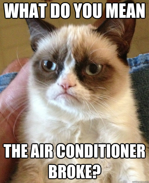 what do you mean the air conditioner broke?  Grumpy Cat