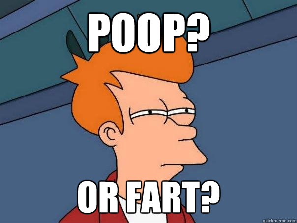 poop? or fart?  Futurama Fry