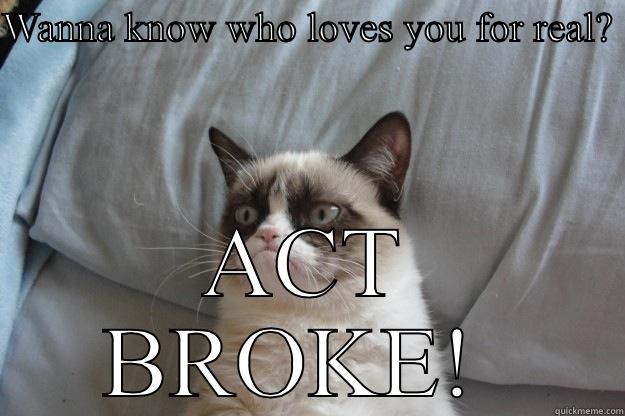 WANNA KNOW WHO LOVES YOU FOR REAL?  ACT BROKE!  Grumpy Cat