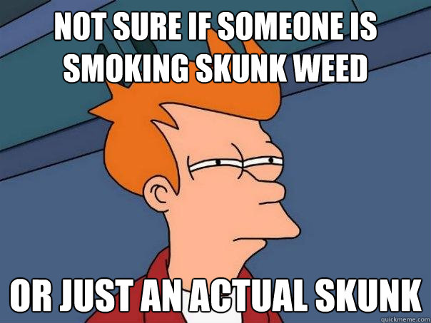 not sure if someone is smoking skunk weed or just an actual skunk  Futurama Fry