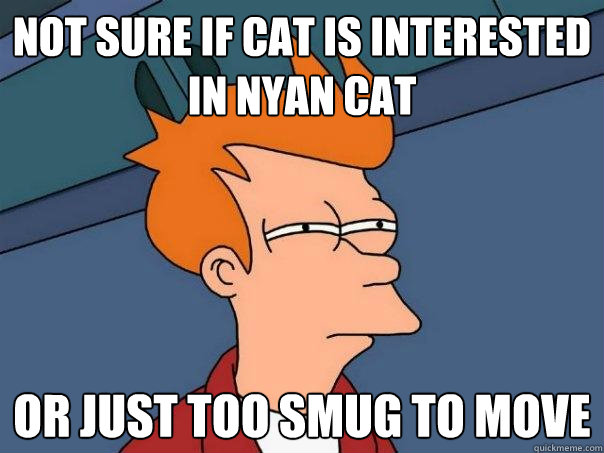 Not sure if cat is interested in Nyan cat Or just too smug to move  Futurama Fry