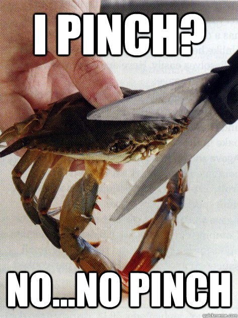 I Pinch? no...no pinch  Optimistic Crab