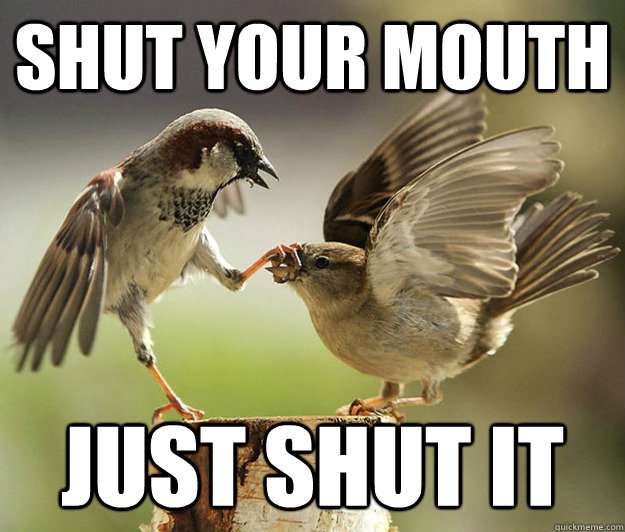Shut your Mouth Just shut it - Shut your Mouth Just shut it  Stepbrothers Birds