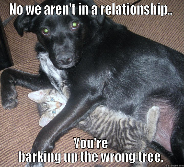 NO WE AREN'T IN A RELATIONSHIP.. YOU'RE BARKING UP THE WRONG TREE. Misc