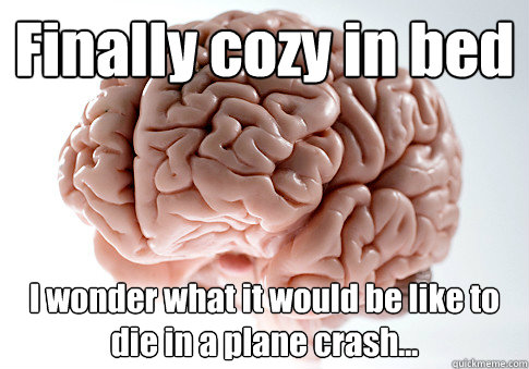 Finally cozy in bed
 I wonder what it would be like to die in a plane crash...   Scumbag Brain