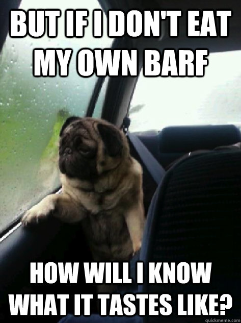 But if I don't eat my own barf how will I know what it tastes like? - But if I don't eat my own barf how will I know what it tastes like?  Introspective Pug