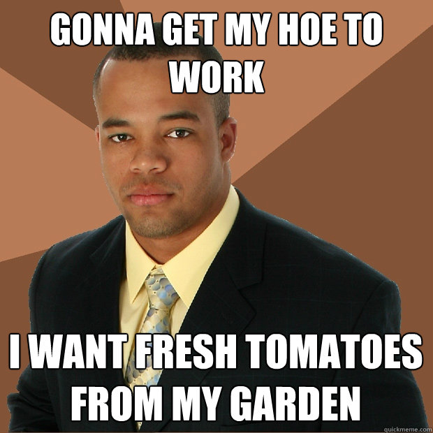 GONNA GET MY HOE TO WORK i want fresh tomatoes from my garden   Successful Black Man