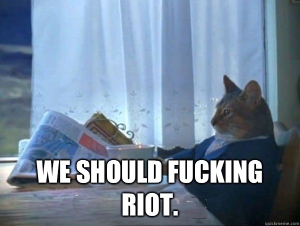  We should fucking riot.  morning realization newspaper cat meme