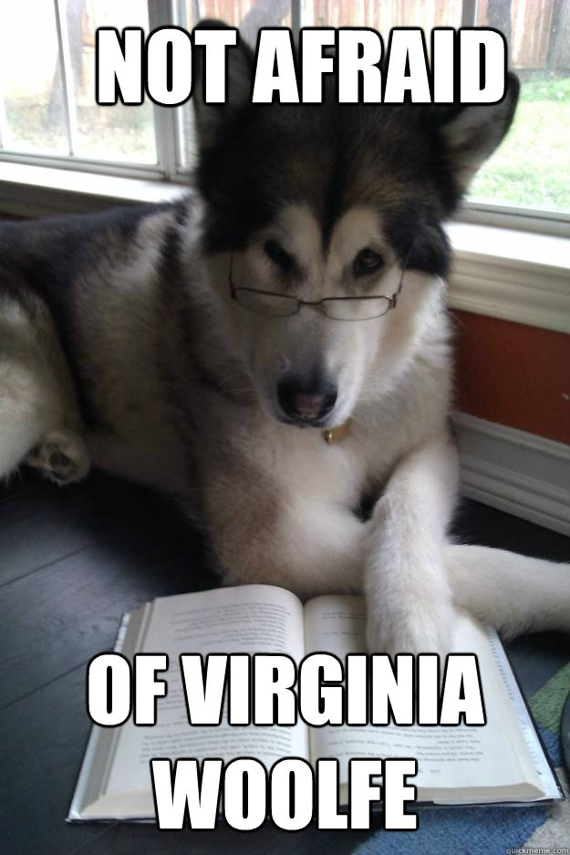 Not afraid of Virginia Woolfe  Condescending Literary Pun Dog