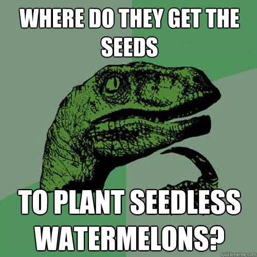 Where do they get the seeds To plant seedless watermelons? - Where do they get the seeds To plant seedless watermelons?  Philosoraptor