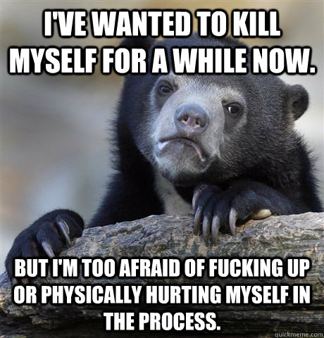 I've wanted to kill myself for a while now. But I'm too afraid of fucking up or physically hurting myself in the process.  Confession Bear