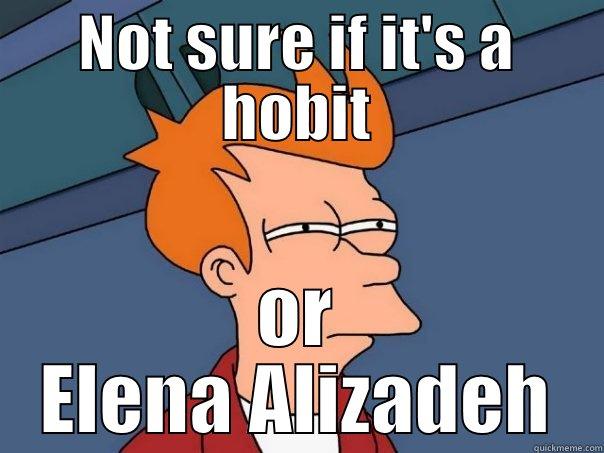 NOT SURE IF IT'S A HOBIT OR ELENA ALIZADEH Futurama Fry