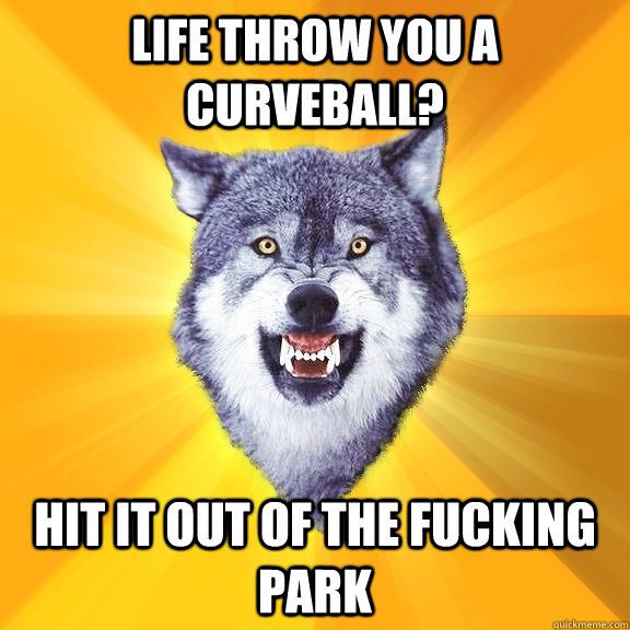 Life throw you a curveball? Hit it out of the fucking park  Courage Wolf