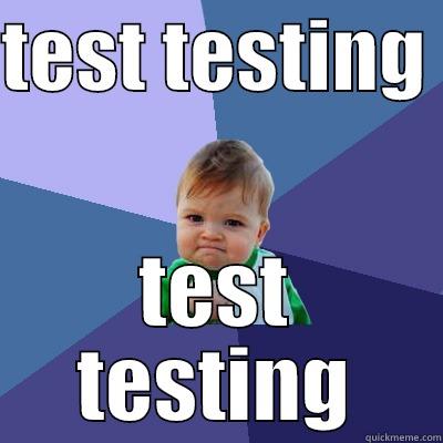 test testing - TEST TESTING  TEST TESTING Success Kid